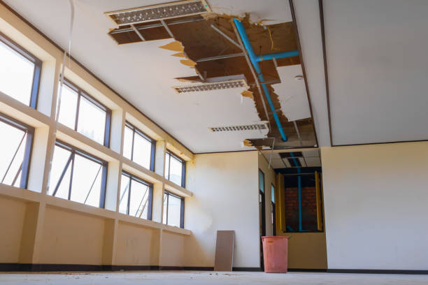 Trusted Vienna, WV Water damage restoration Experts