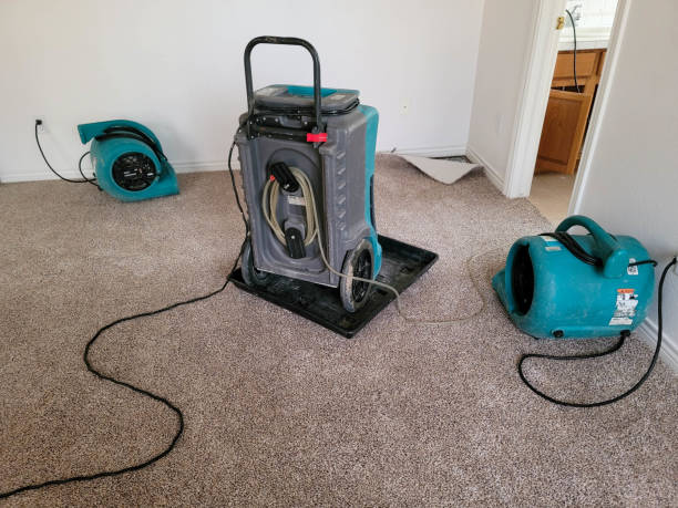 Best Water damage contractors near me  in Vienna, WV