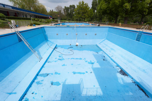 Best Carpet water damage restoration  in Vienna, WV