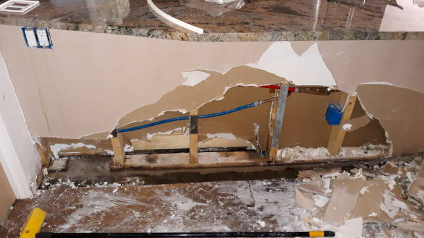 Best Fire Damage Restoration  in Vienna, WV
