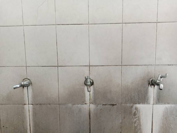 Best Water damage restoration near me  in Vienna, WV
