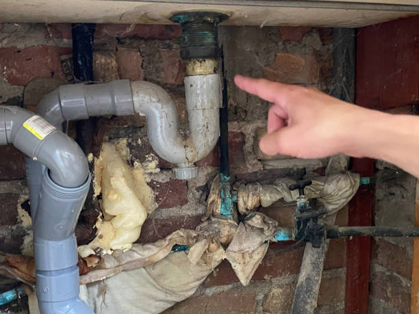 Best Flood damage cleanup  in Vienna, WV