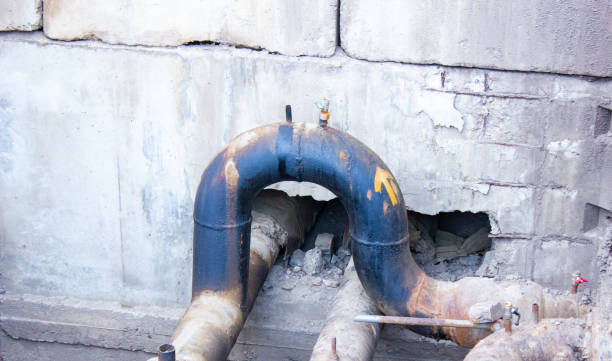 Best Professional water damage repair  in Vienna, WV