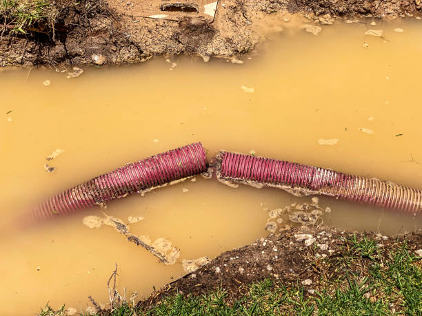 Best Commercial water damage restoration  in Vienna, WV