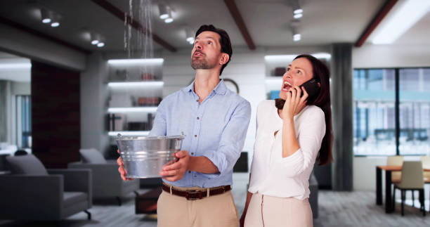 Best Water damage restoration near me  in Vienna, WV