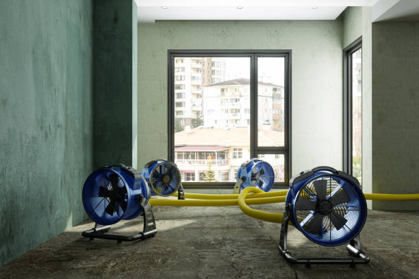 Best Flood restoration services  in Vienna, WV